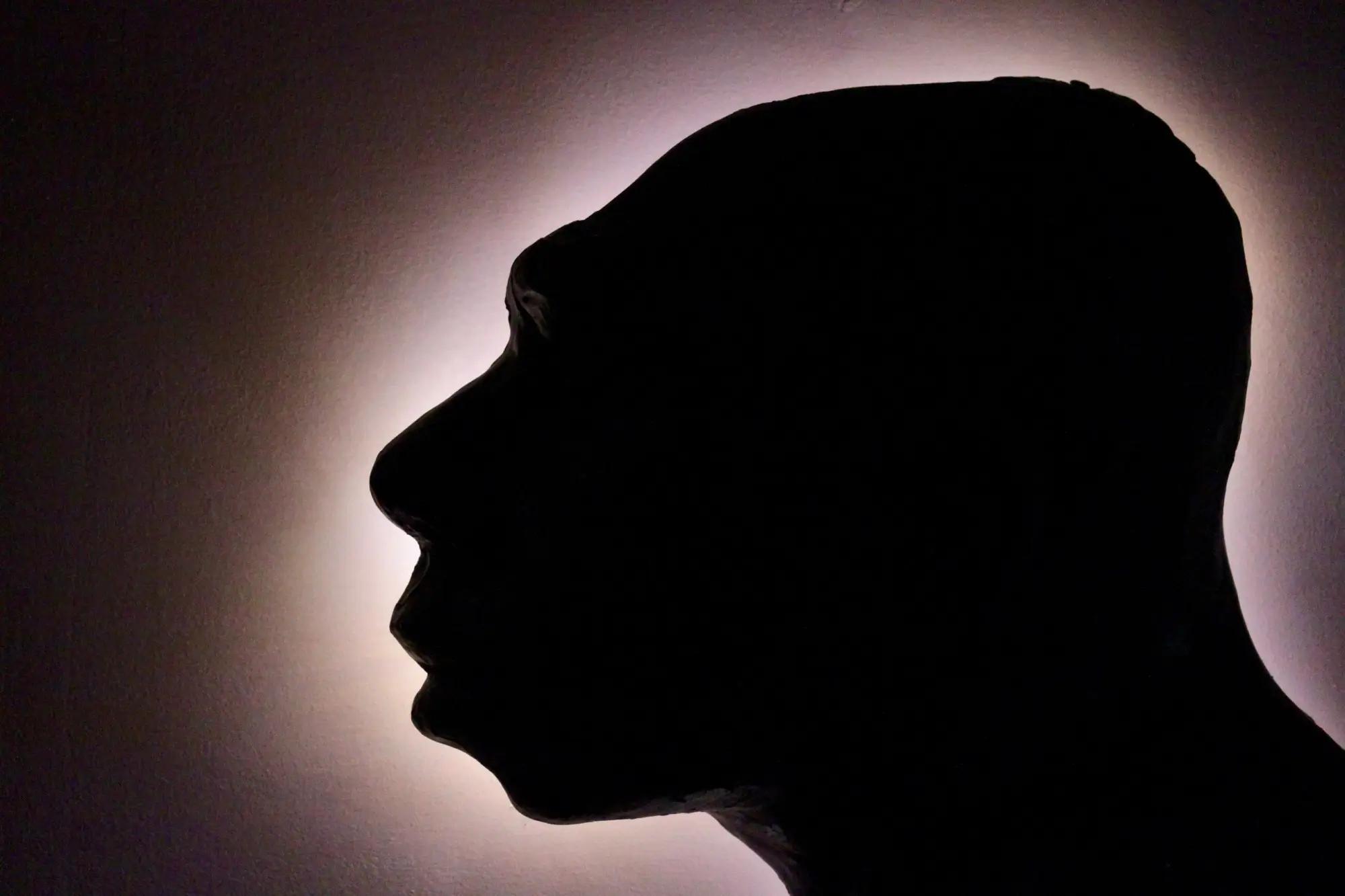 tmavá silueta prehistorického člověka s nápadně odlišnou lebkou