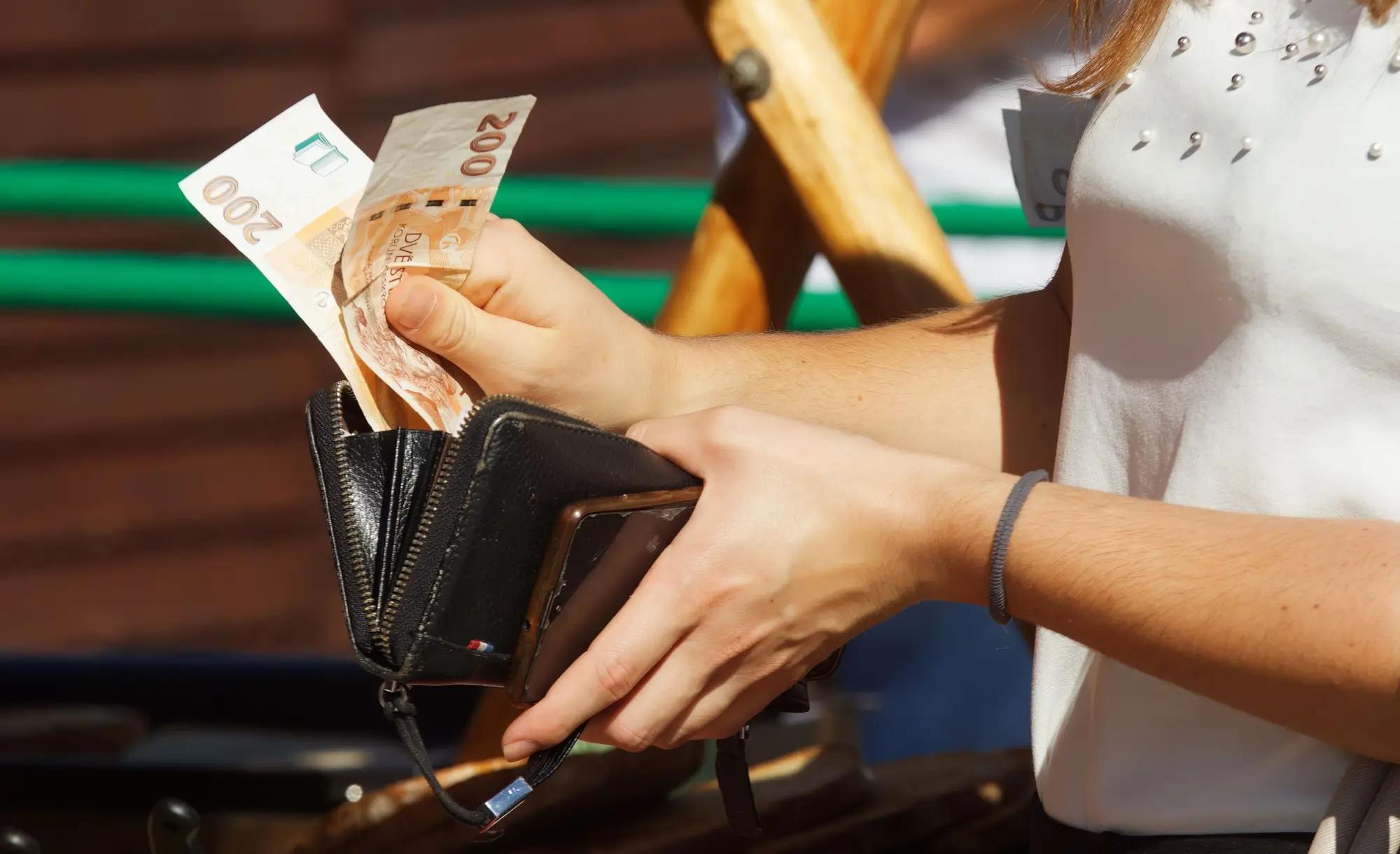 peněženka dvoustovky