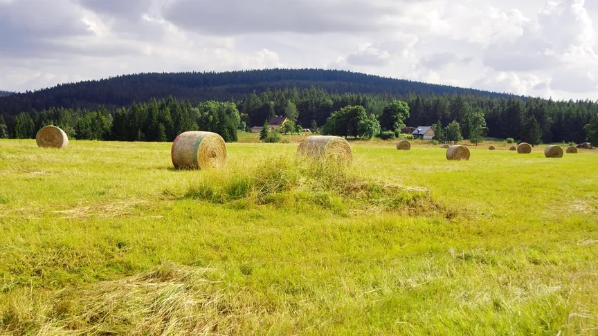 V okolí slavkovského lesa naleznete bohatou krajinu.