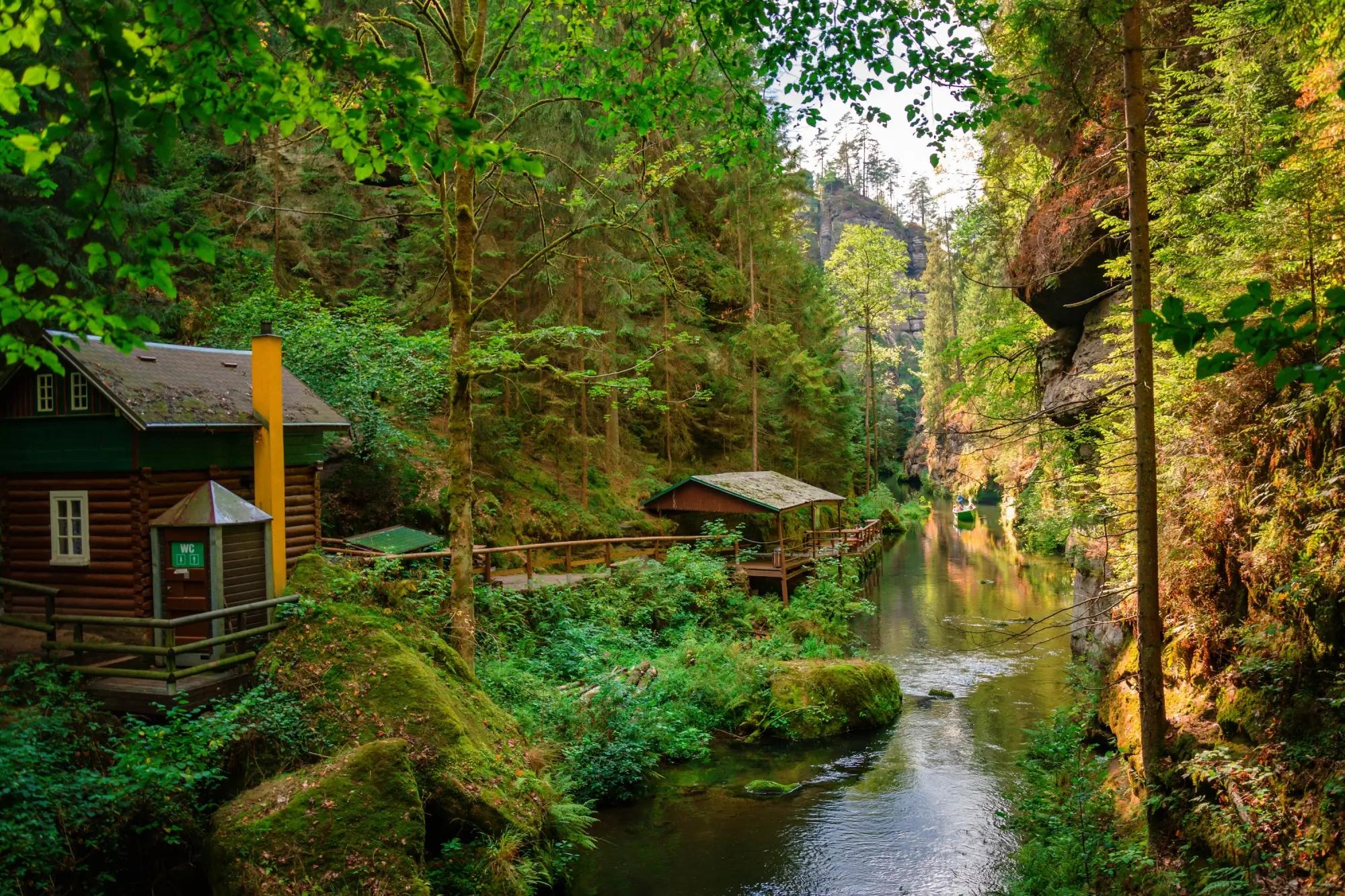 chata v lese kolem které protéká říčka