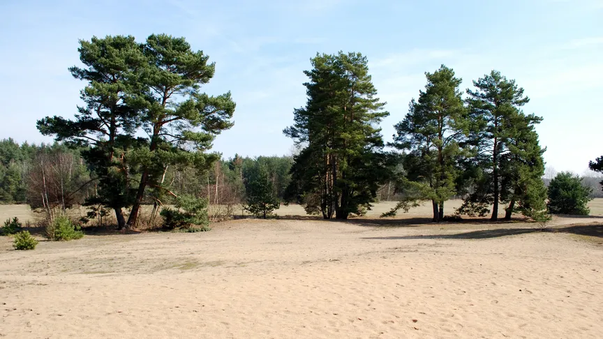 Písečný přesyp u Vlkova: Sen o moři bez hranic a dlouhého cestování. Místní varují před návalem turistů.
