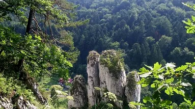 Národní park Polsko