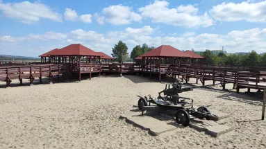 Tohle místo v Polsku připomíná Afriku. Poušť Błędowska má písek hluboký 70 metrů a nabízí zážitky pro odvážné