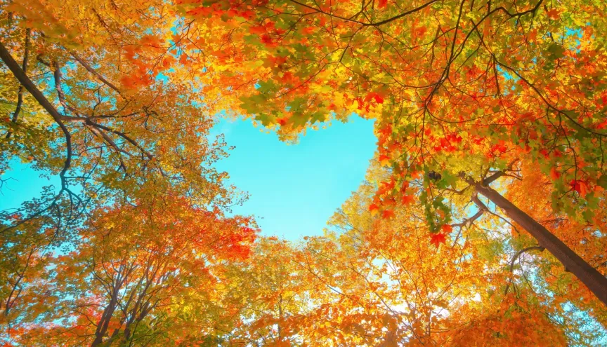 Babí léto bude opravdu nádherné. / Zdroj: Shutterstock