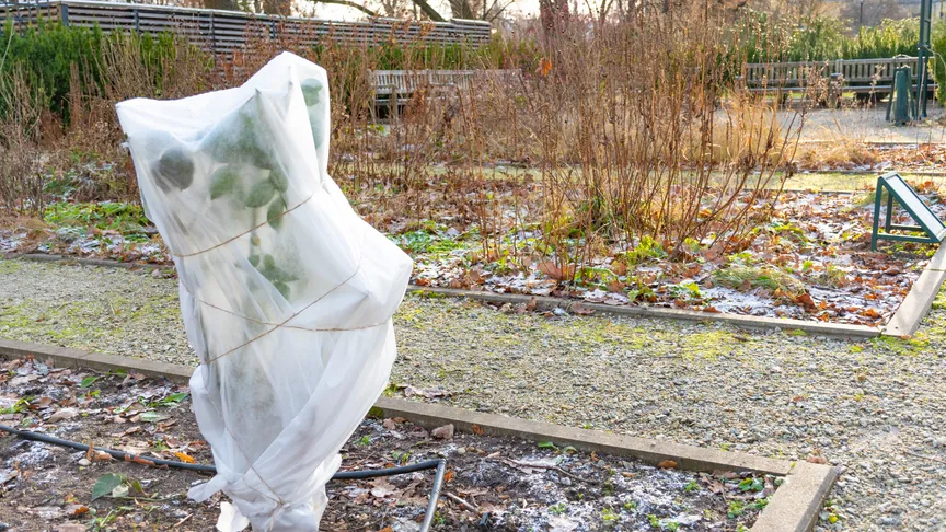 Ranní mrazy mohou poškodit vegetaci na našich zahradách. Svou úrodu důkladně zabezpečte.