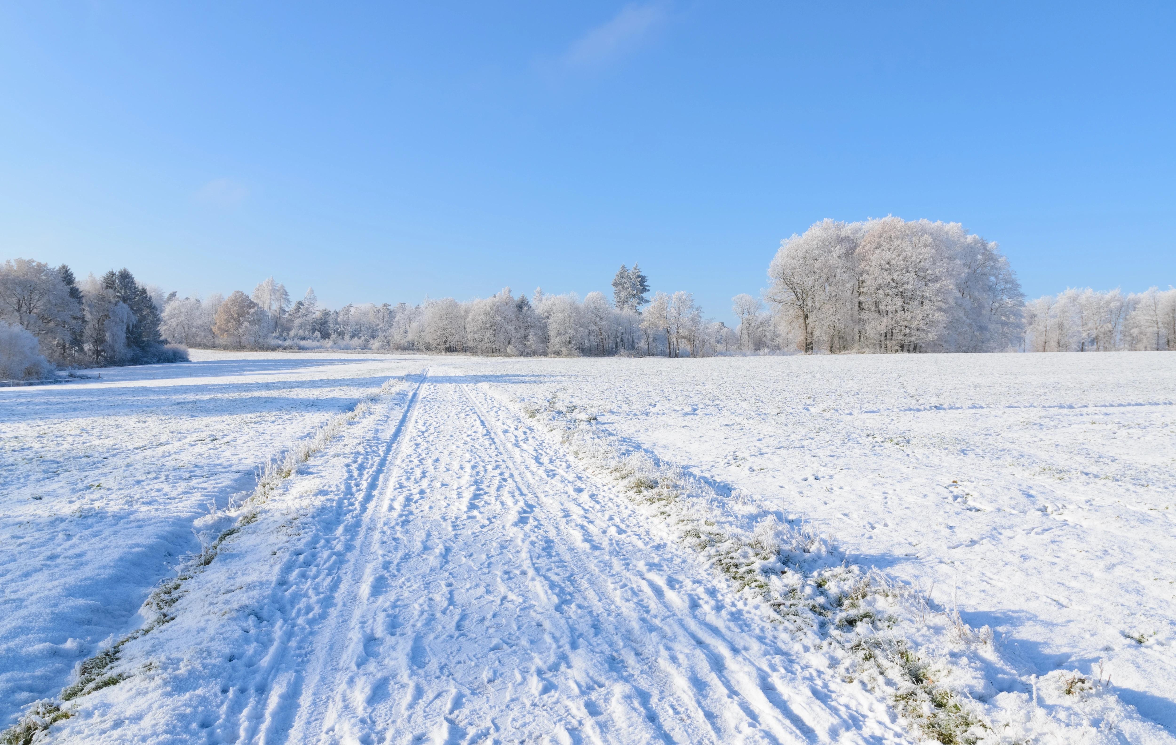 Zasněžená polní cesta a její okolí.