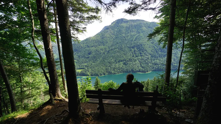 Překvapení českého léta: Toto jezero vám zajistí zážitek, který si zamilujete