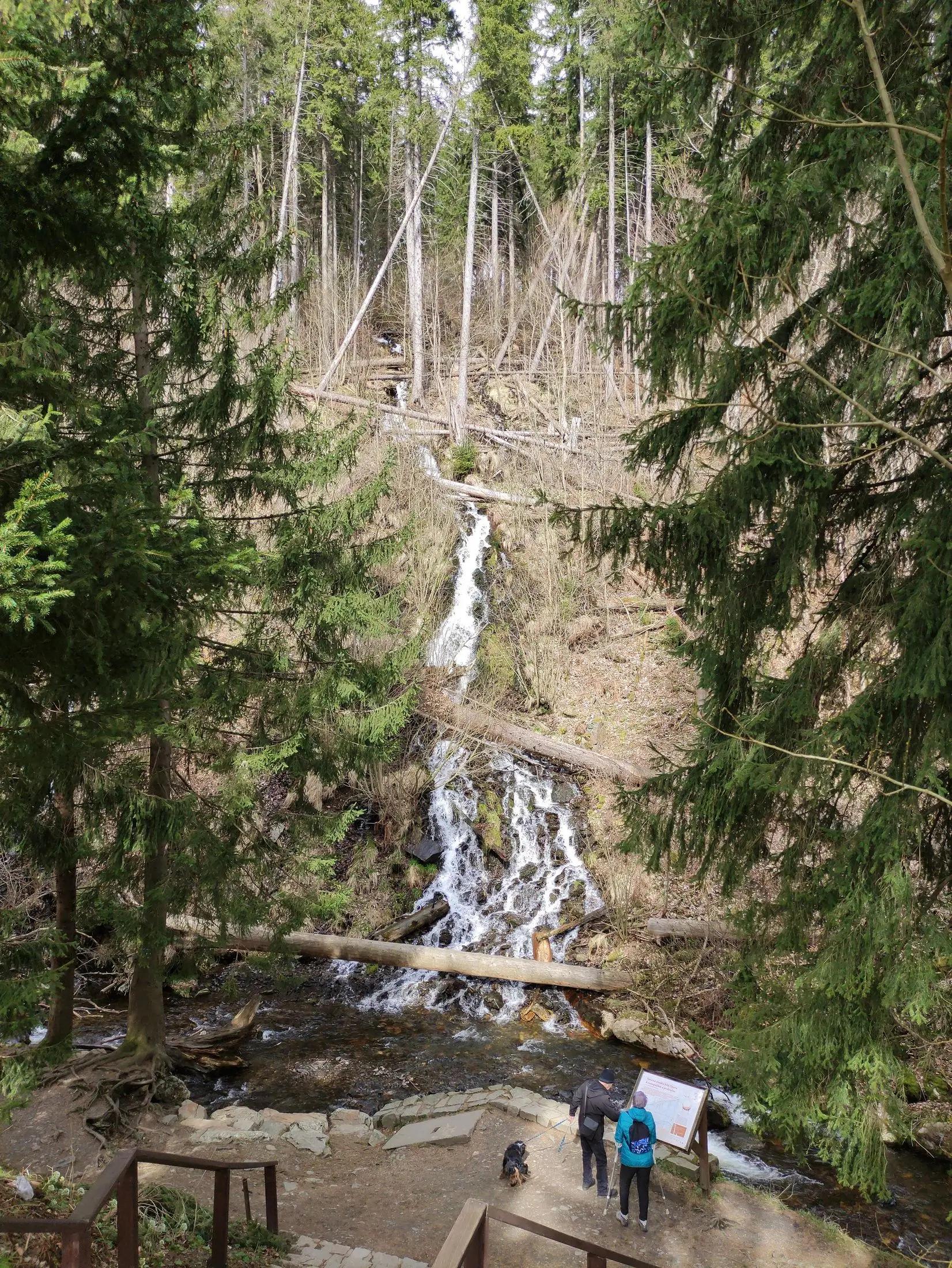 Jeden z vodopádů, který uvidíte na stezce mezi Karlovou Studánkou a Pradědem. V okolí jsou zelené jehličnany.