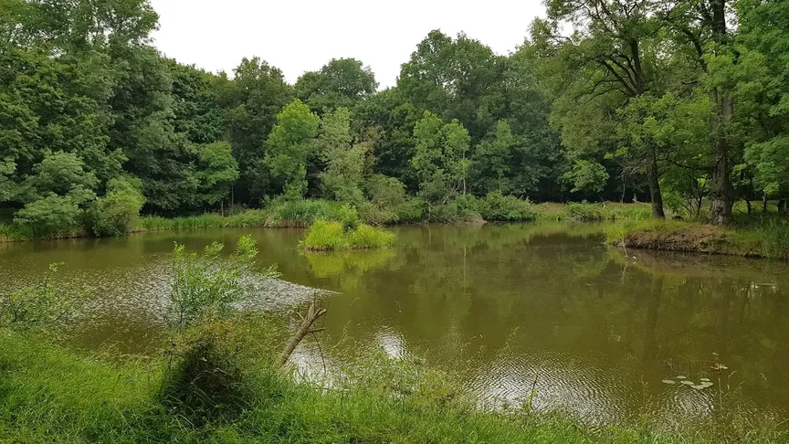 Dyjský trojúhelník