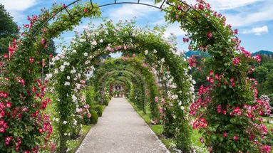 Zahrada, která bere dech: Tisíce růží a výhledy, jaké jinde nenajdete