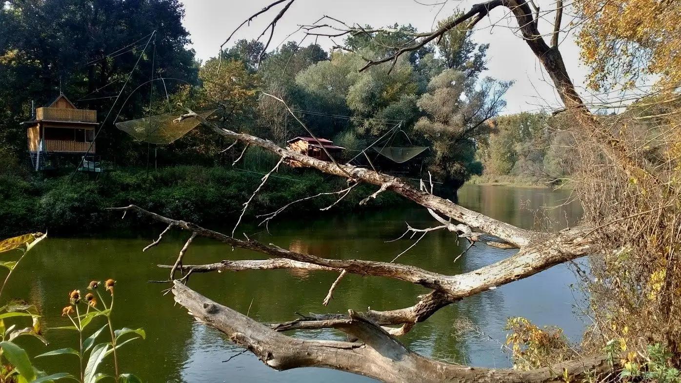 Soutok Moravy a Dyje 