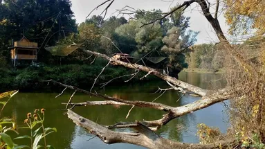 Soutok Moravy a Dyje