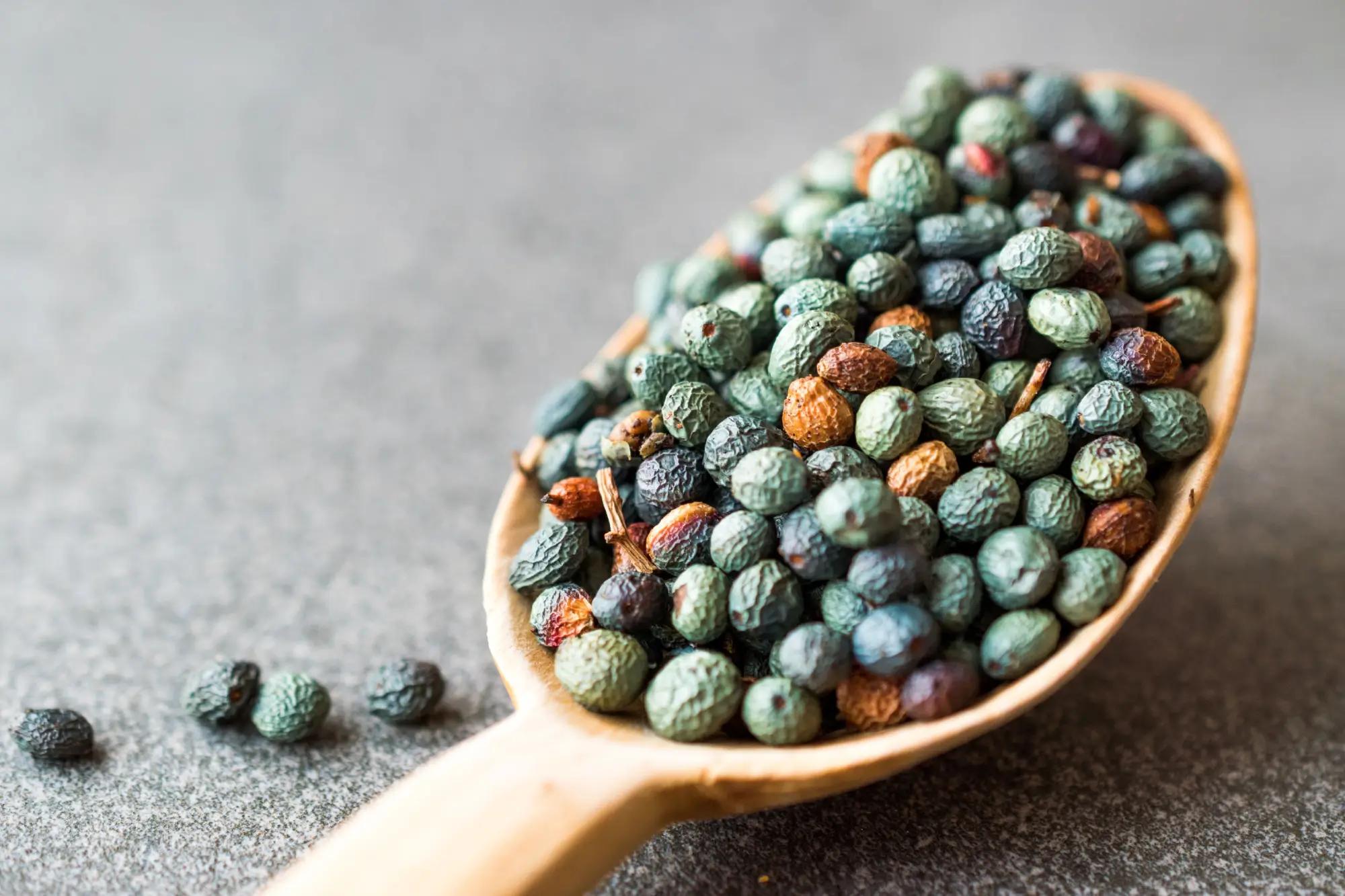 Sušené bobule menengicu. 