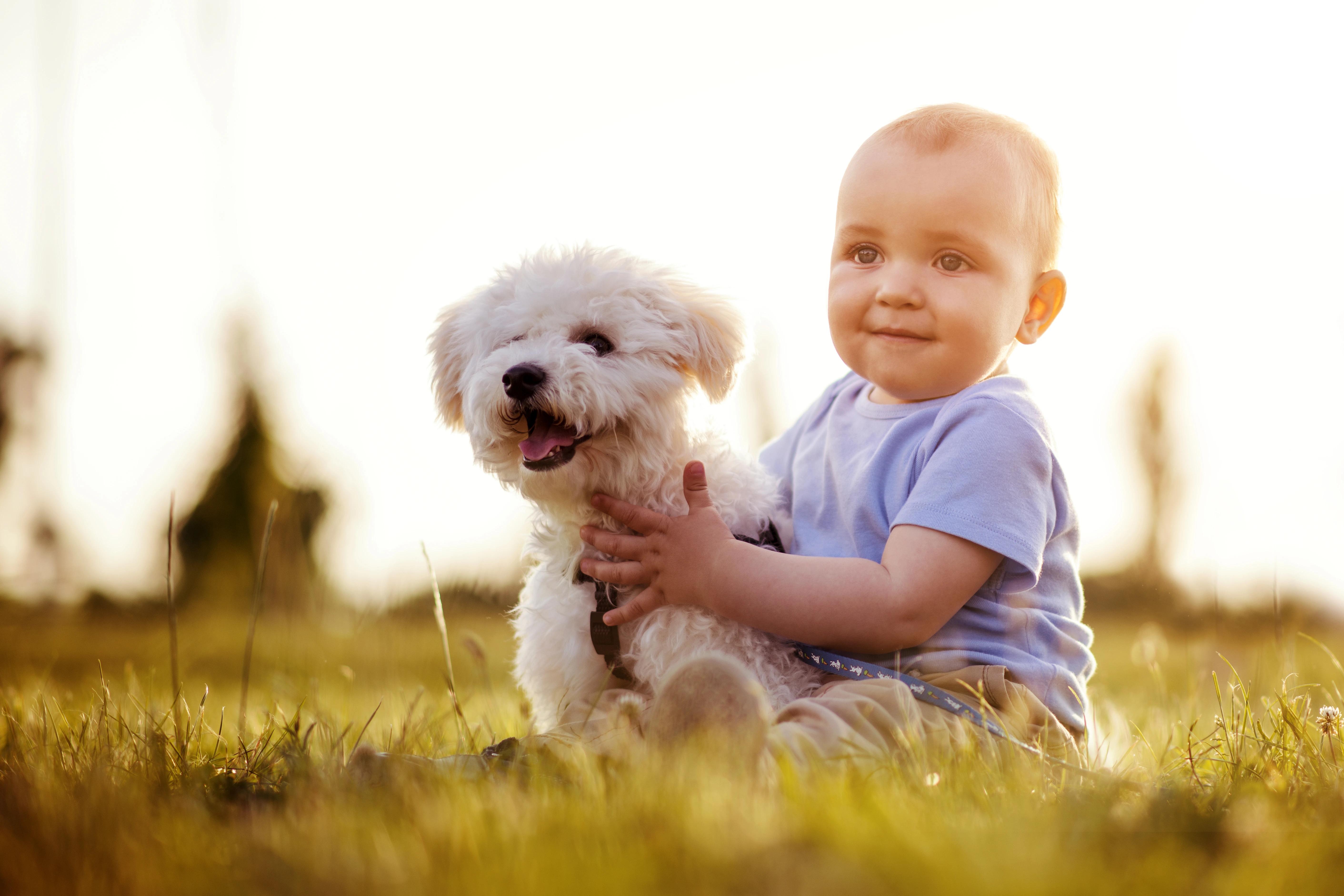 Bišonek s dítětem