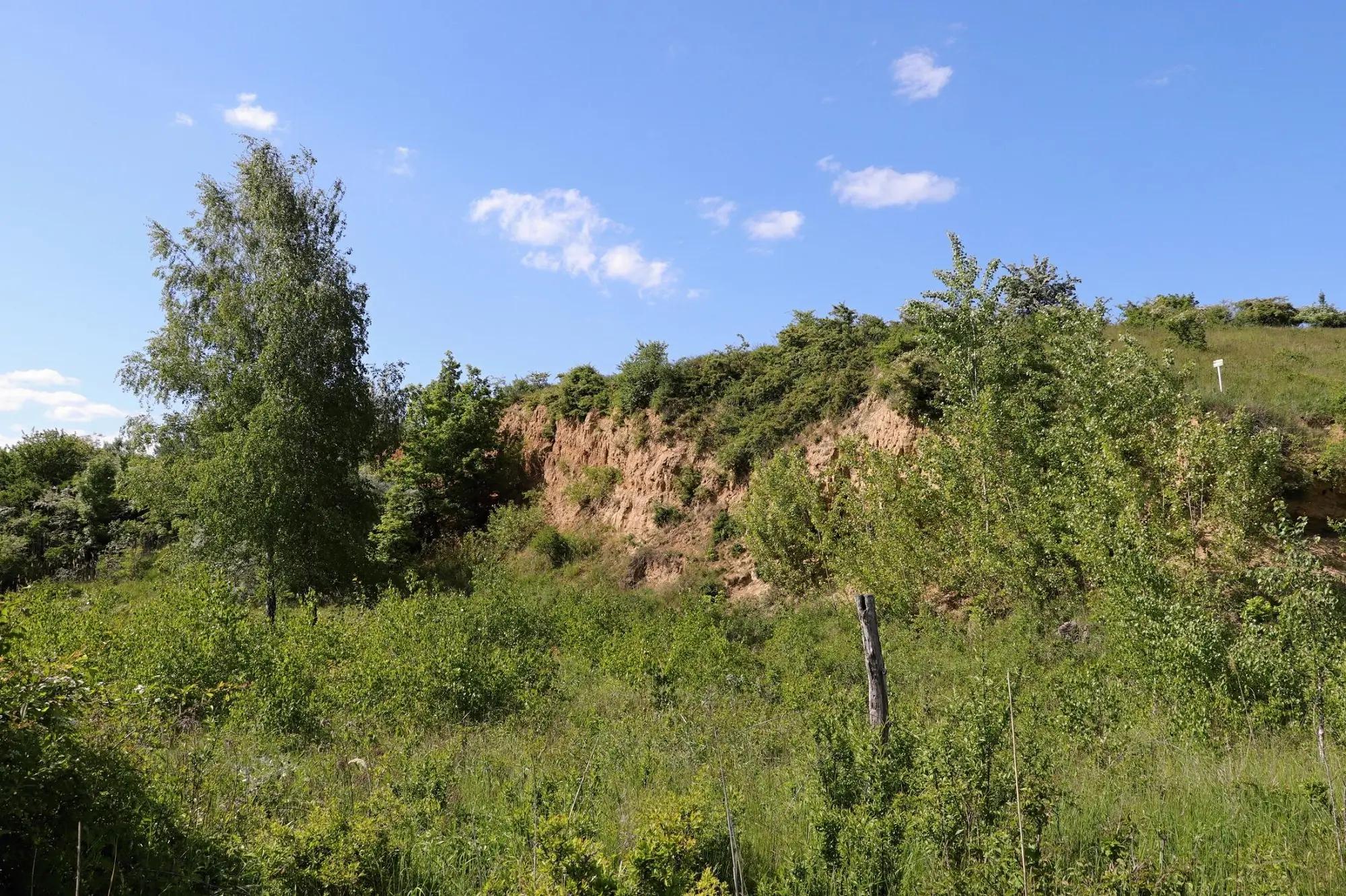 Přírodní památka Kienberg