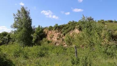 Přírodní památka Kienberg