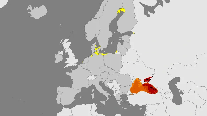 Letní dovolená v ohrožení? V moři číhá nečekaný problém, na který odborníci upozorňují.