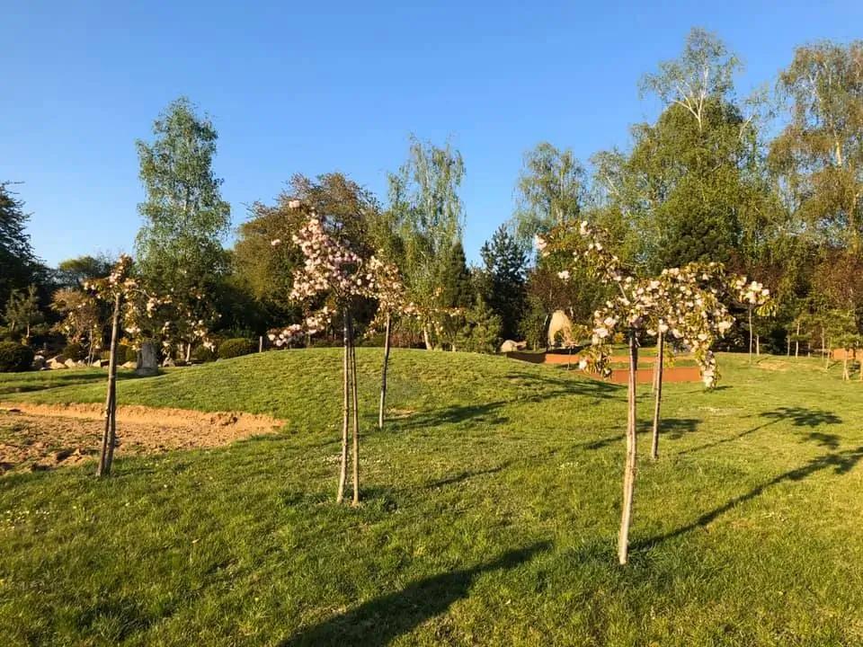 Stromky v zahradě Aizen