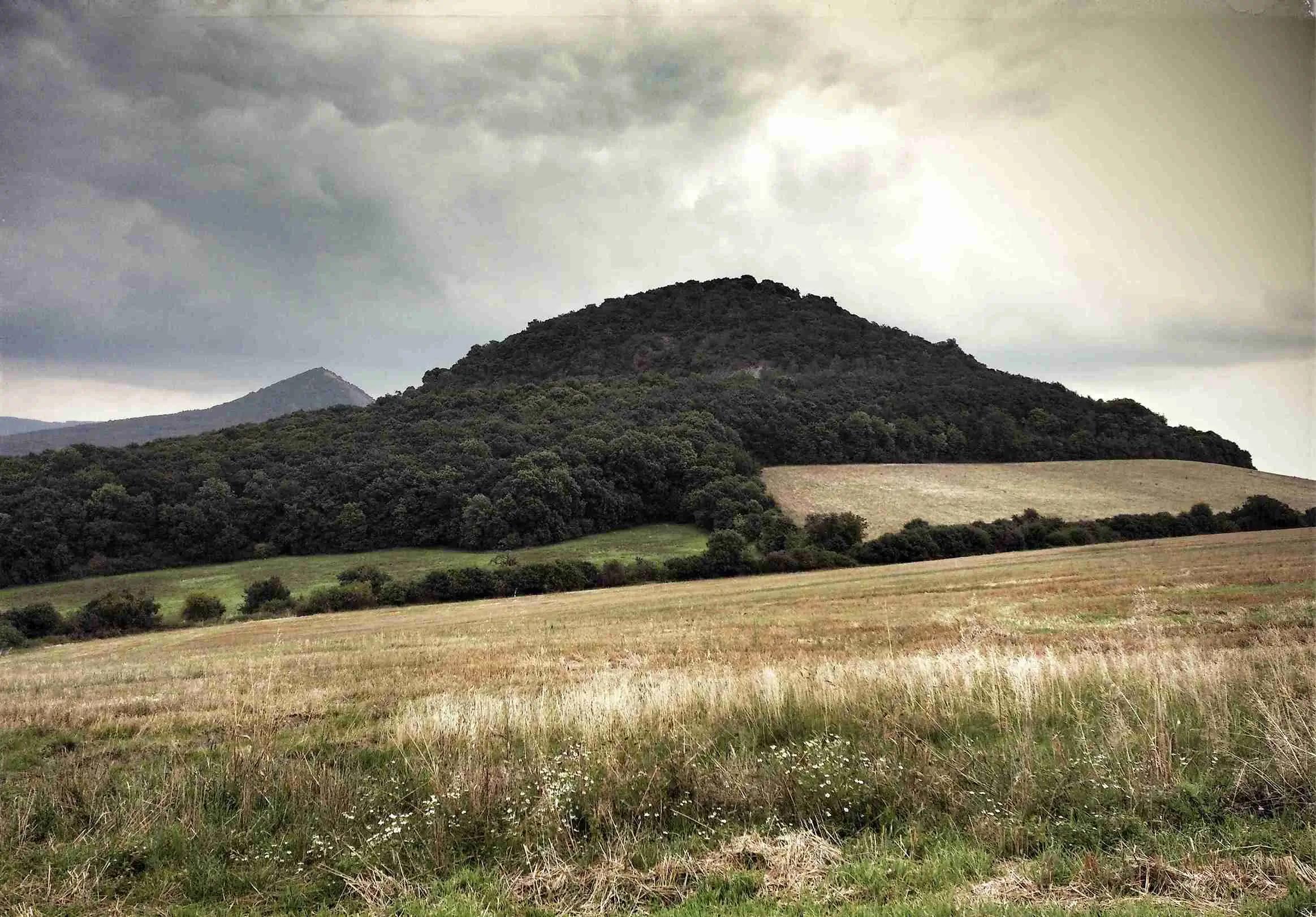 Pohled na zalesněnou horu Borečský vrch. Je pod mrakem. 