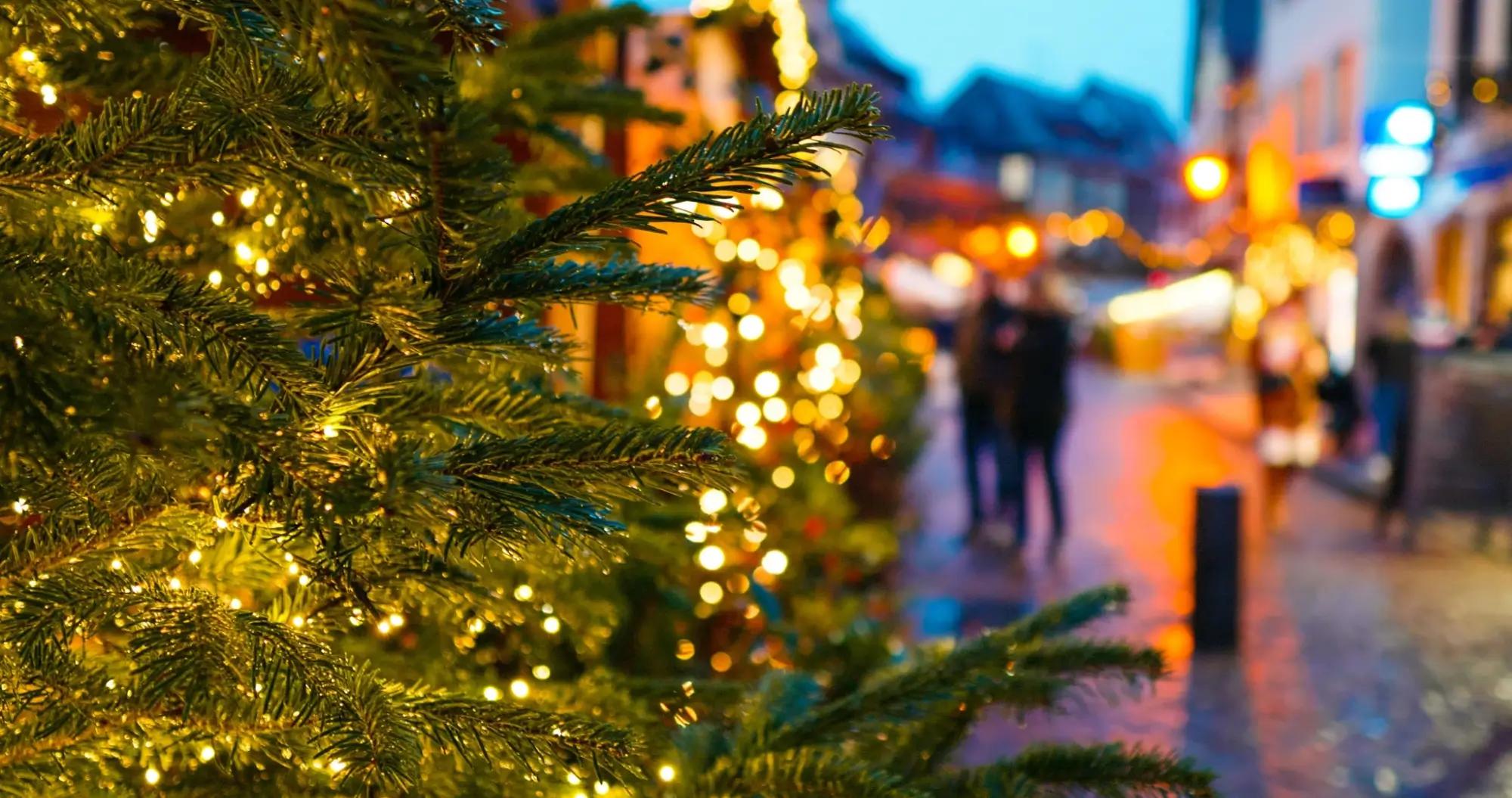 Na Vánoce se možná někde dočkáme sněhu. Zdroj: shutterstock.com