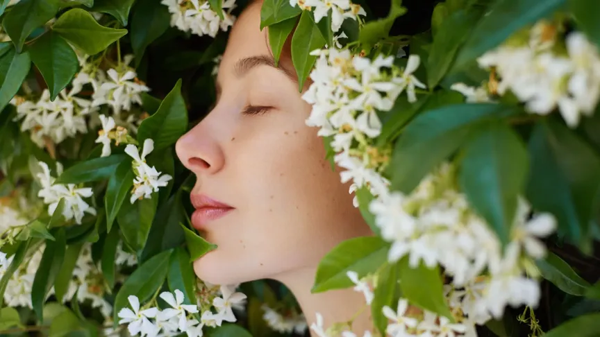 Bohaté využití má jasmín v asijské tradiční medicíně, kde se používá nejen k léčbě nespavosti.