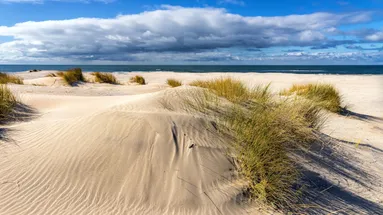 Z ráje peklo během chvíle: Žena se těšila na odpočinek, místo toho zažila děsivý začátek pobytu