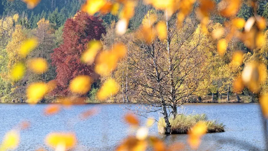 Podzimní výhled na jezero ve Slavkovském lese