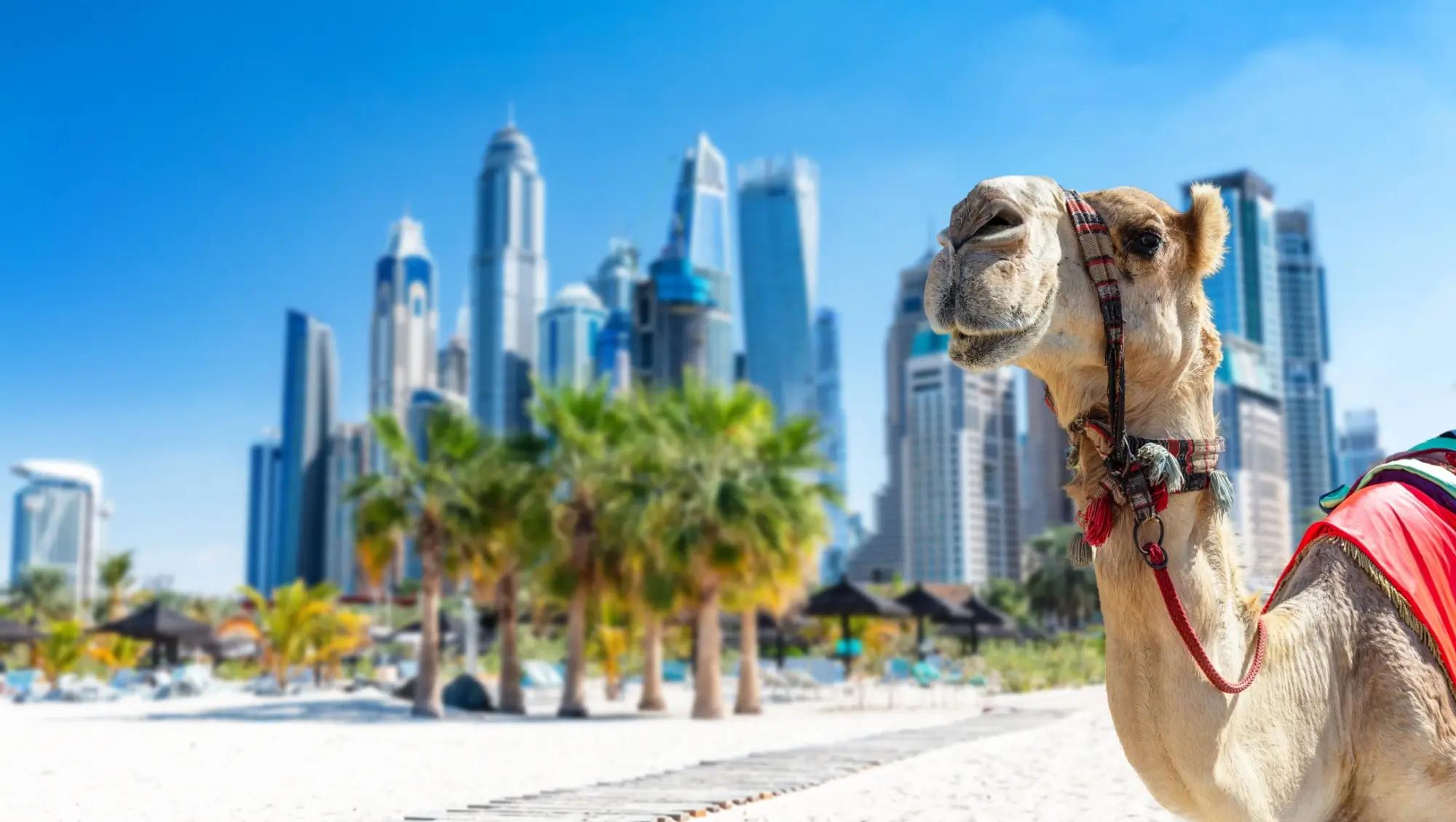 Dubaj každoročně vítá davy turistů. Zdroj: shutterstock.com