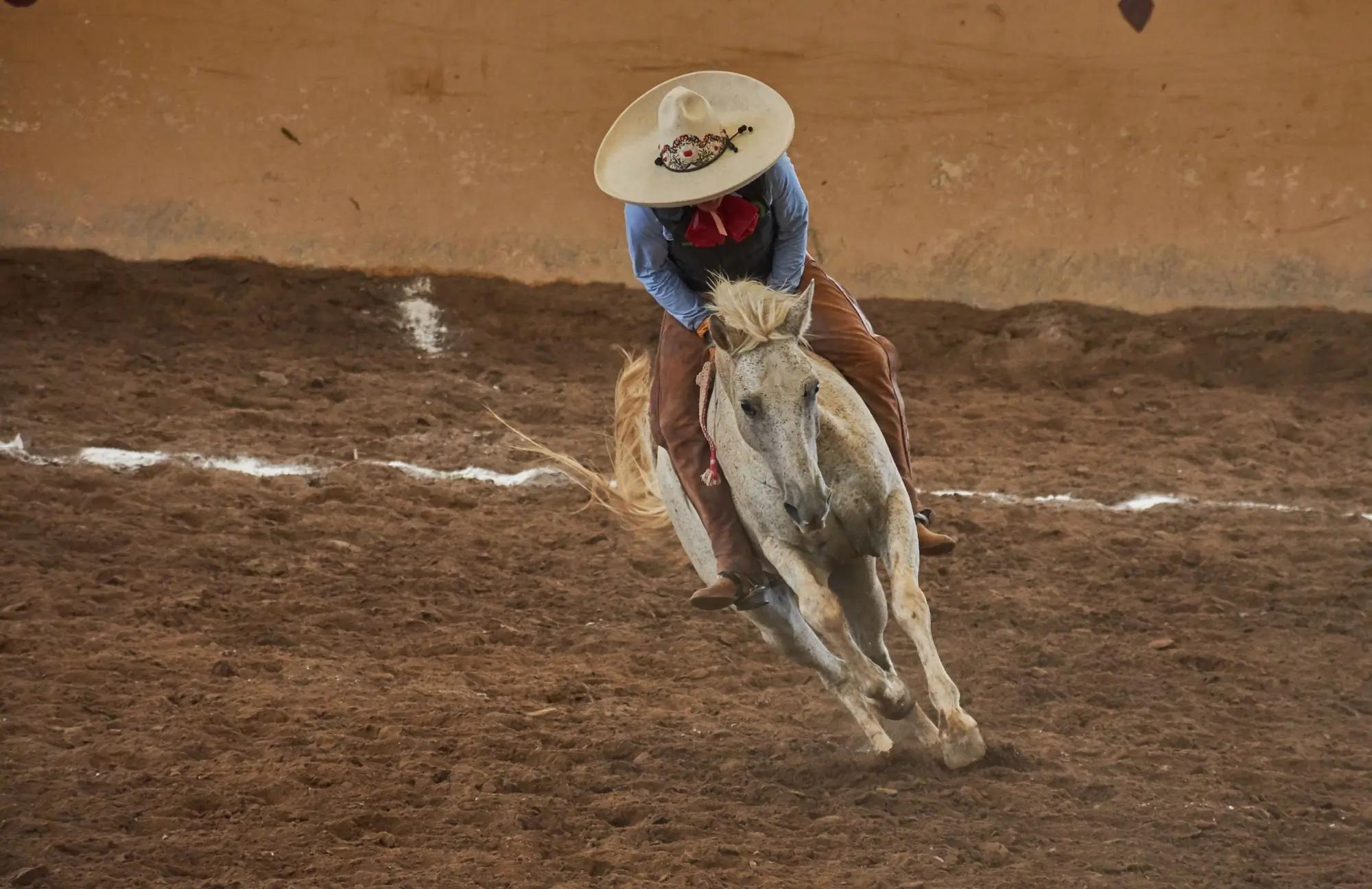 Jezdec na  koni při mexickém národním sportu charrería