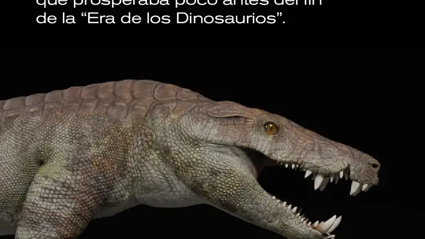 Krokodýl Kostensuchus atrox