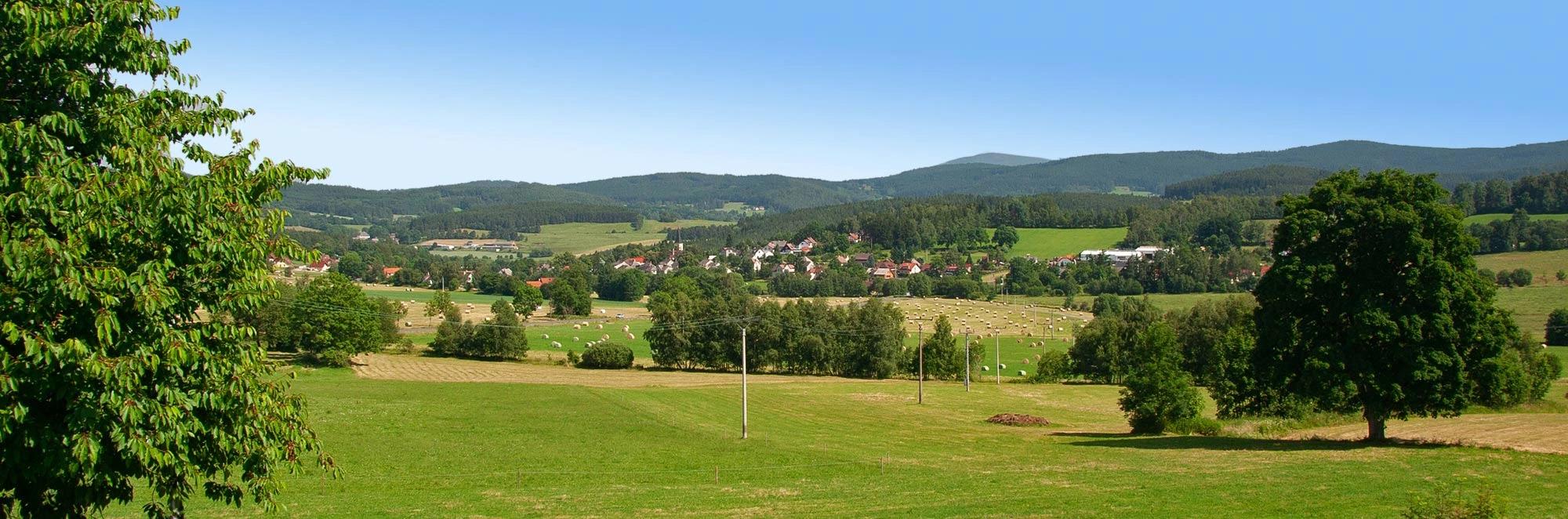 Panoramatický pohled na šumavskou obec Stachy. Louka, stromy a v dálce domy.