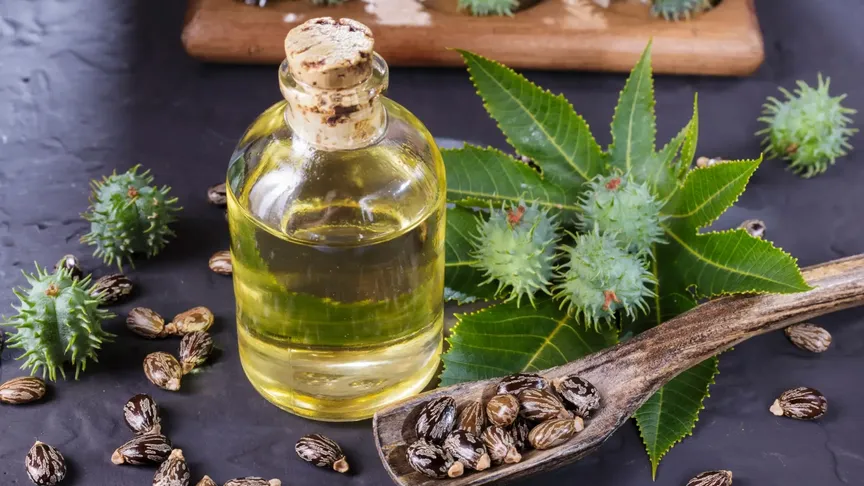 Ze semen skočce se vyrábí ricinový olej. / Zdroj: Shutterstock