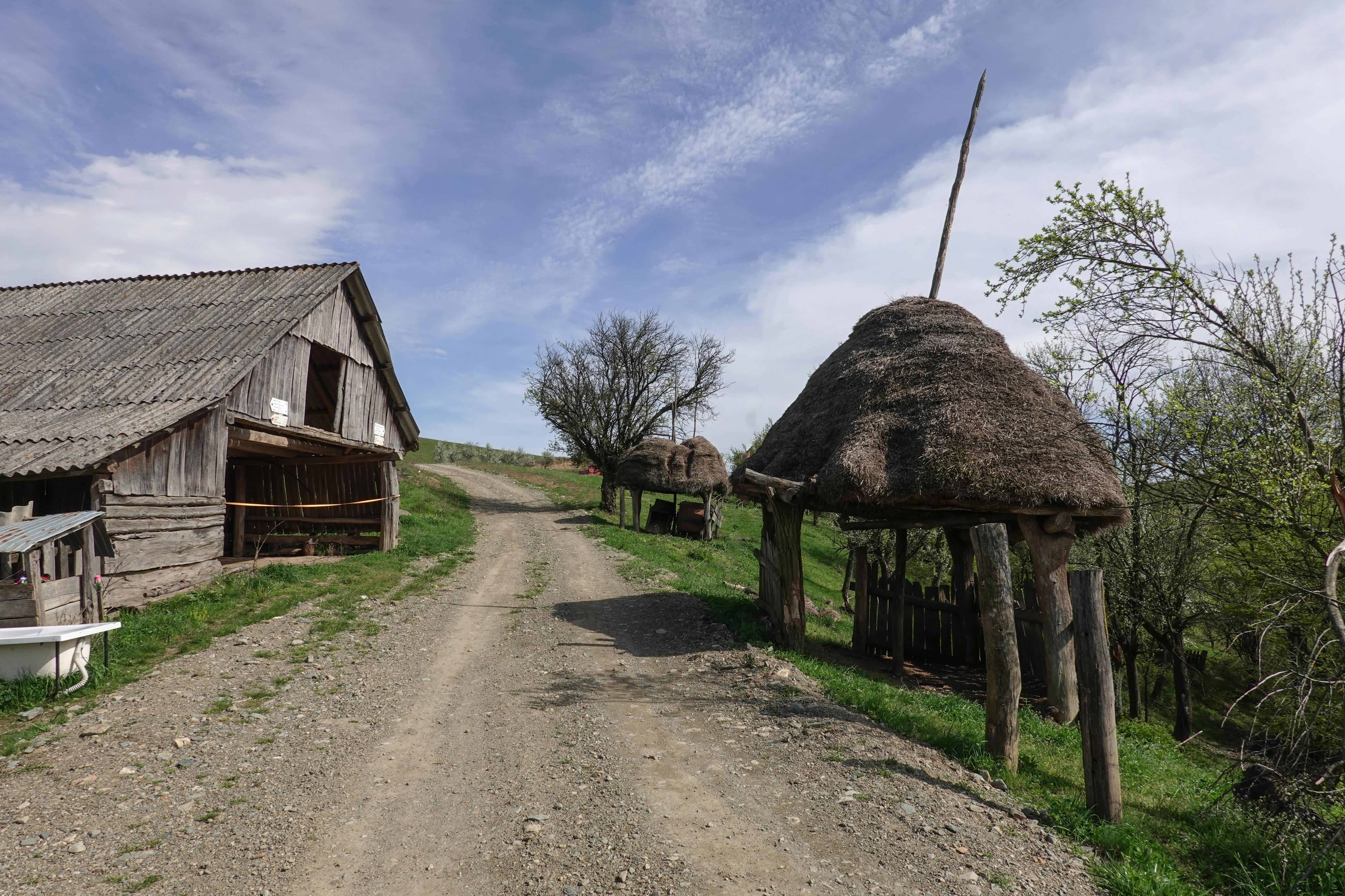 Pohled na polní cestu a statek ve vesničce v rumunském Banátu.
