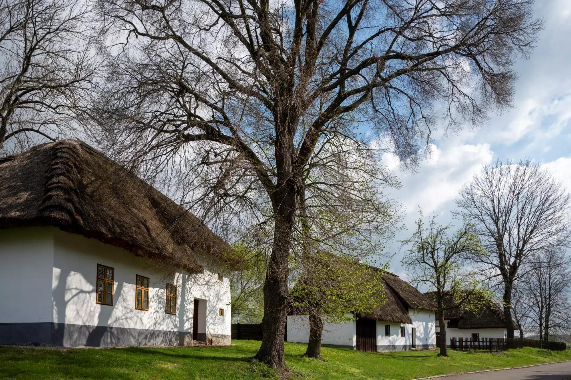Doškové domky v Muzeu v přírodě v Rymicích