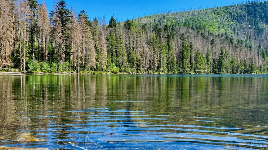 národní park Šumava