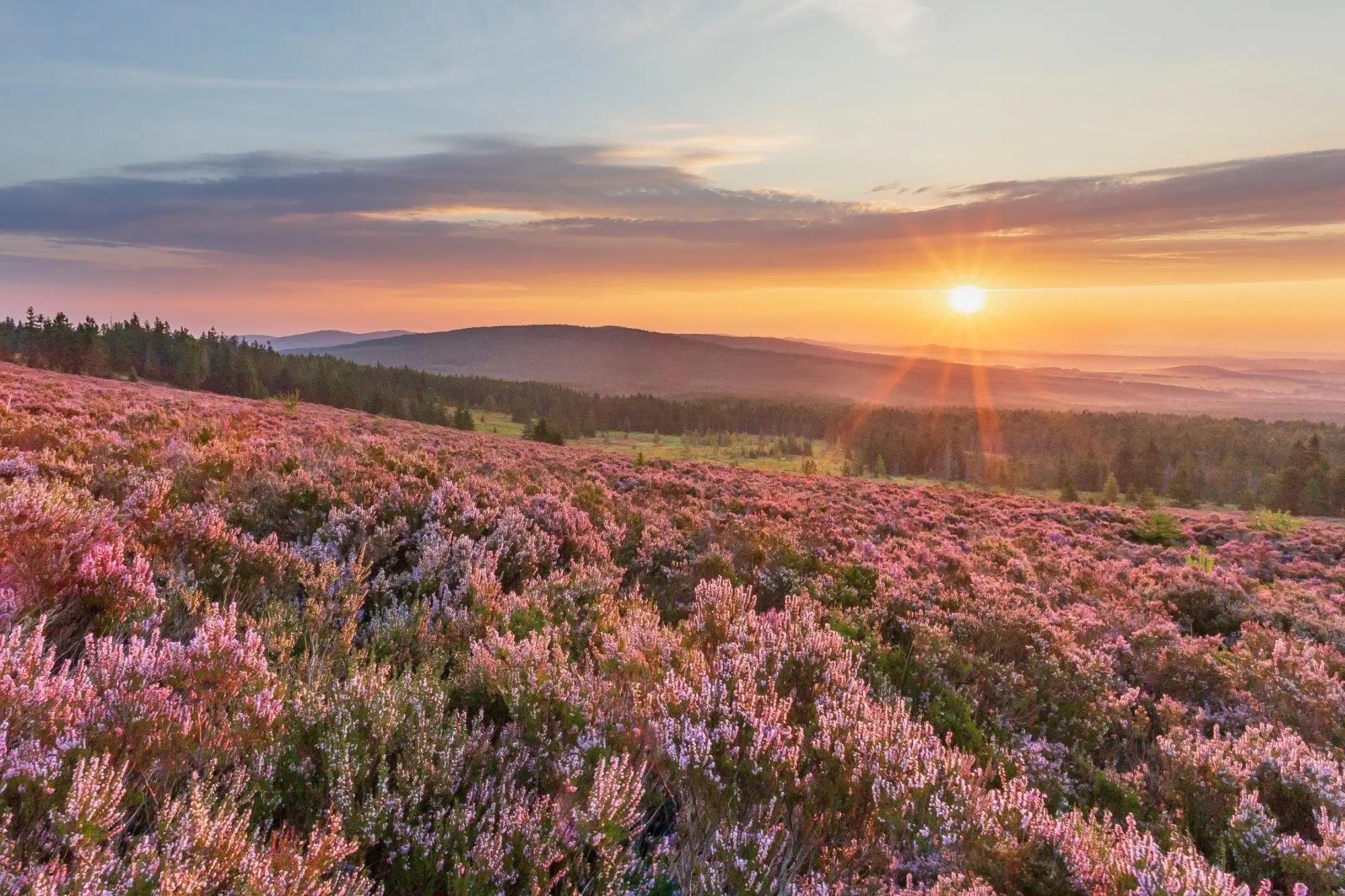Západ slunce nad loukou v Brdech s pohořím v dáli