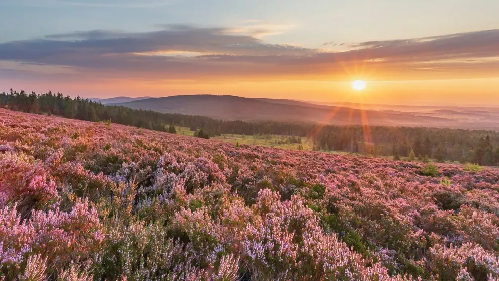 Západ slunce nad loukou v Brdech s pohořím v dáli
