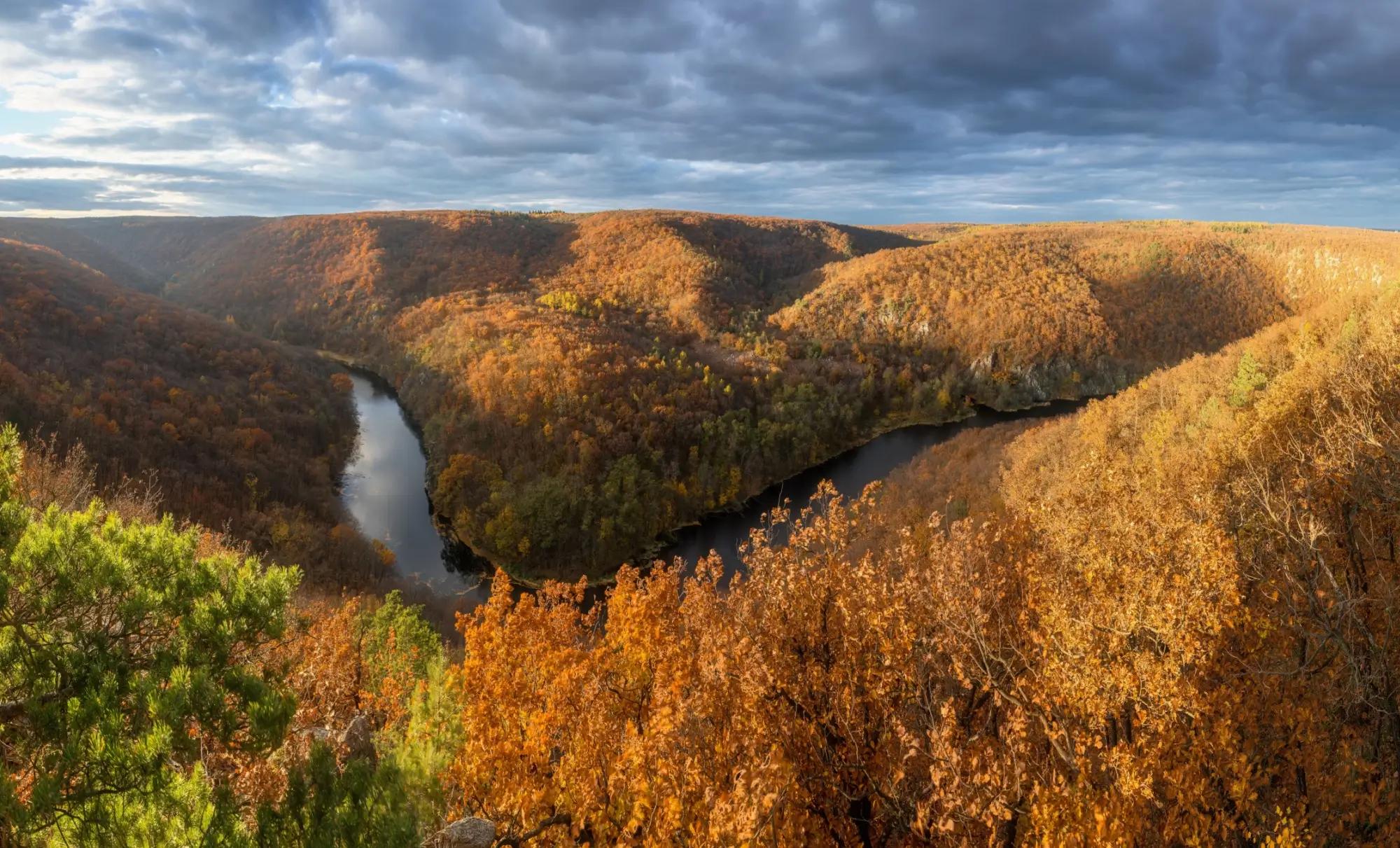 Meandr řeky je obklopen rozsáhlým podzimním lesnatým údolím