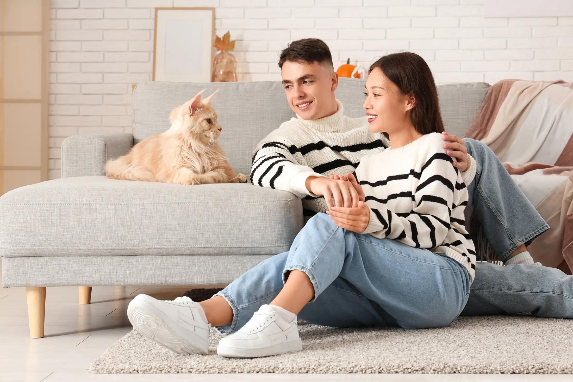 Na obrázku jsou vidět dva lidé, nejspíše pár, který má podobné oblečení. Sedí na zemi v obýváku a dívají se n kočku, která leží na gauči.