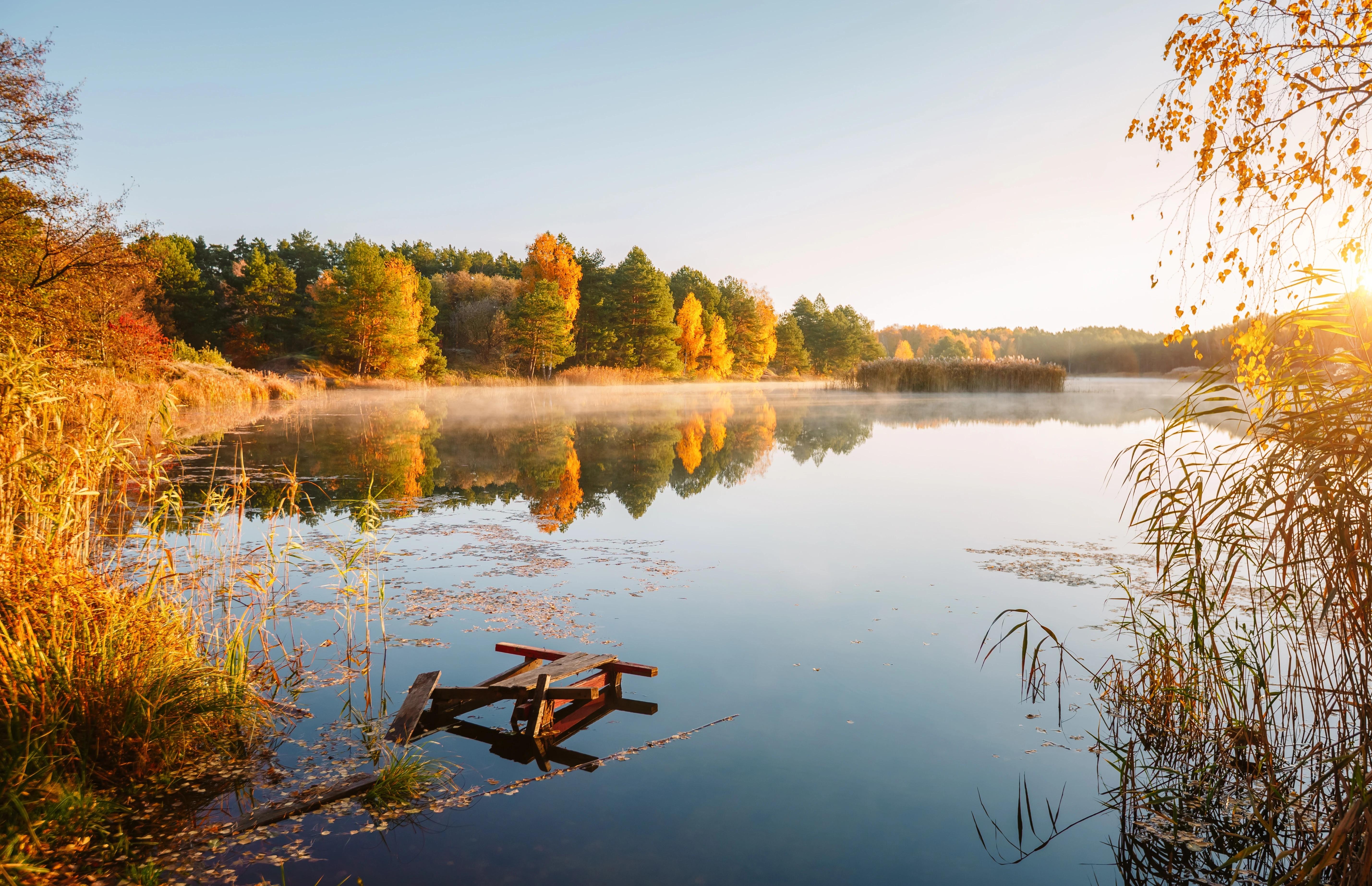 Pohled na krásnou podzimní krajinu v okolí rybníka.