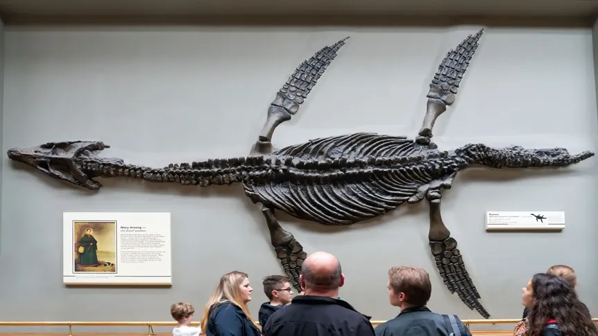 Kostra pliosaura v londýnském muzeu ve vitríně, před kterou stojí návštěvníci. Zdroj: Shutterstock