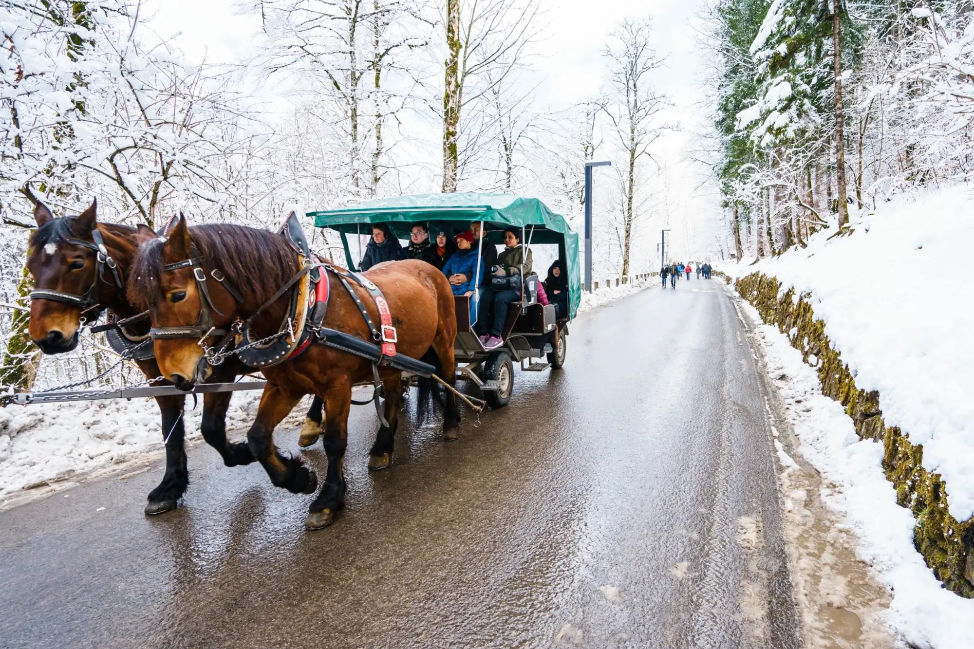 Kočár tažený koňmi jede k zámku Neuschwanstein