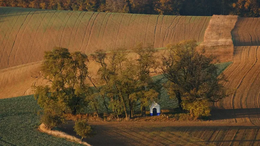 Scenérie Moravského Toskánska s kapličkou svaté Barbory. Zdroj: Shutterstock