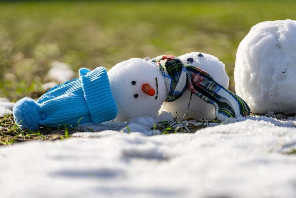 Rozpadený sněhulák na louce