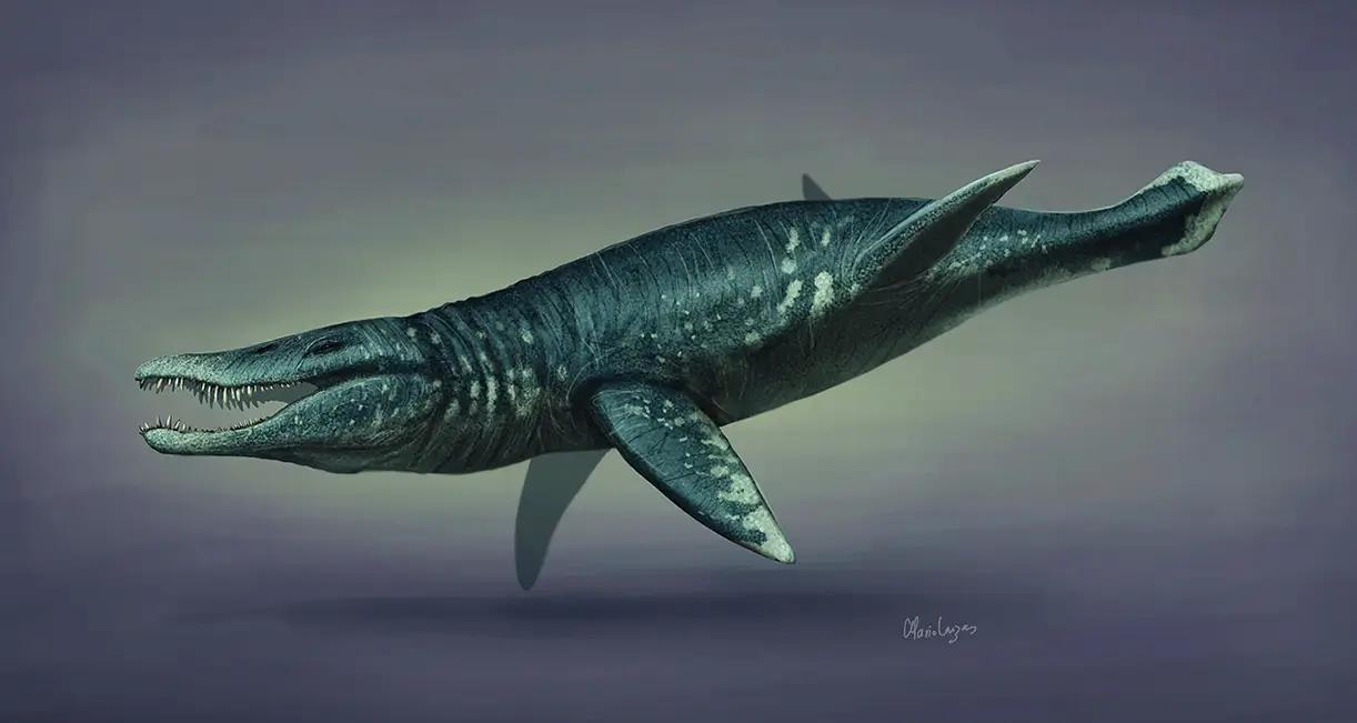 rekonstrukce podoby pliosaura