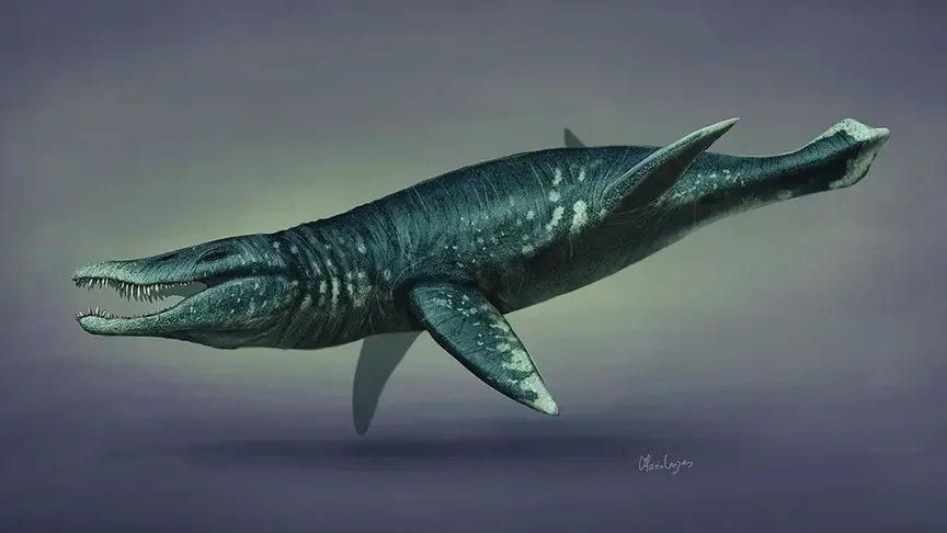 rekonstrukce podoby pliosaura