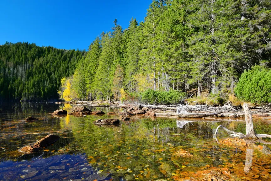 Šumava