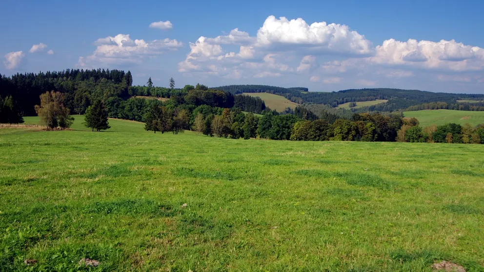 Toto místo v Česku ukrývá pramen zdarma.