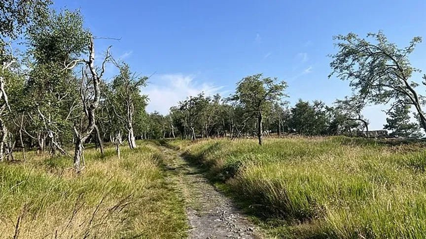 Lesní stezka