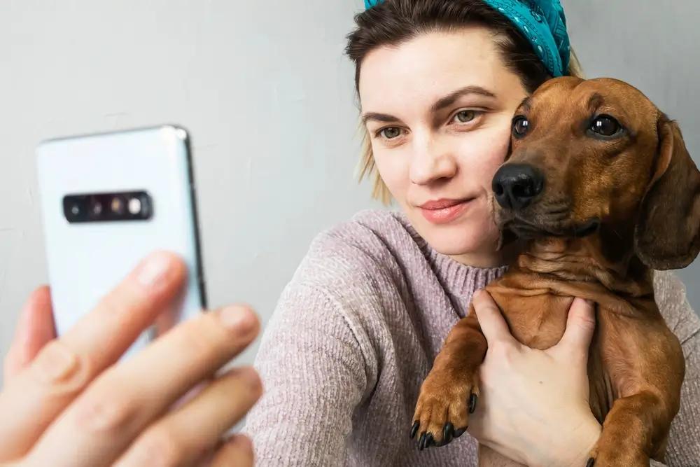 Čím menší obrazovka, tím je to pro psa větší problém.